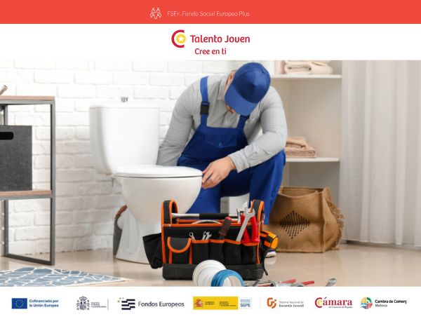 Garantia Juvenil: manteniment hoteler
